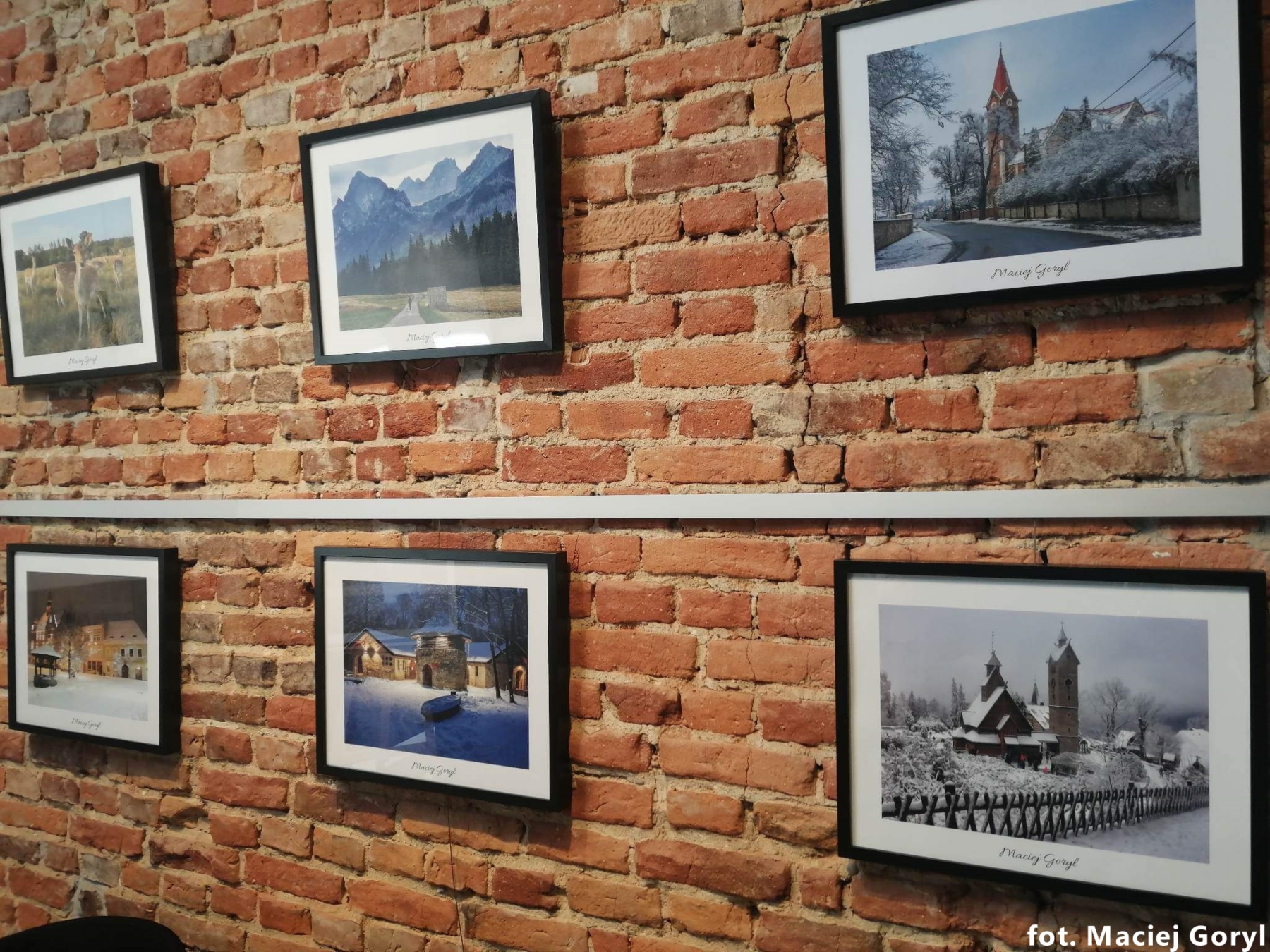 Fotografie Macieja Goryla wiszące w galerii na ścianie
