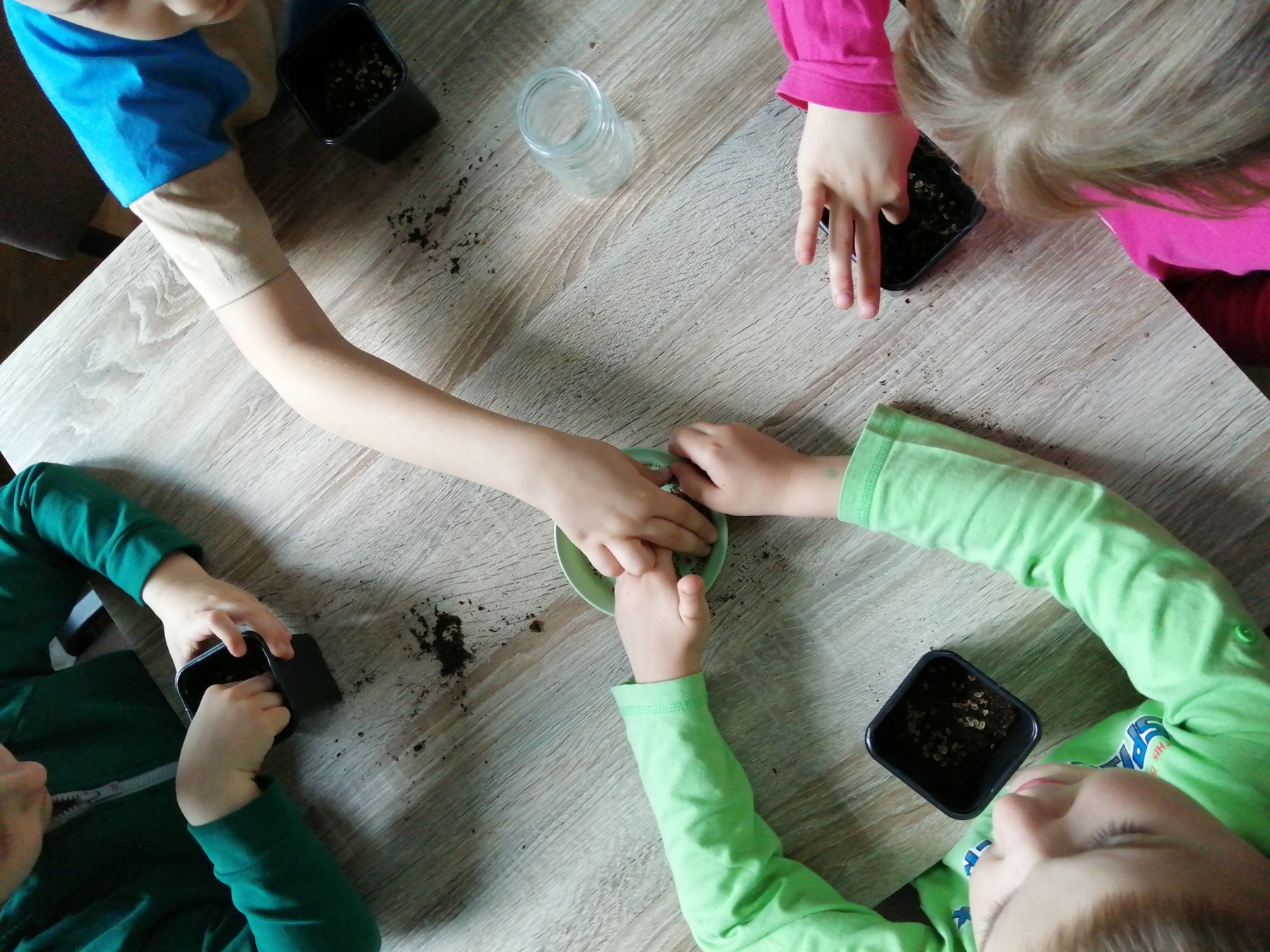 Dzieci wysiewają nasiona do doniczek