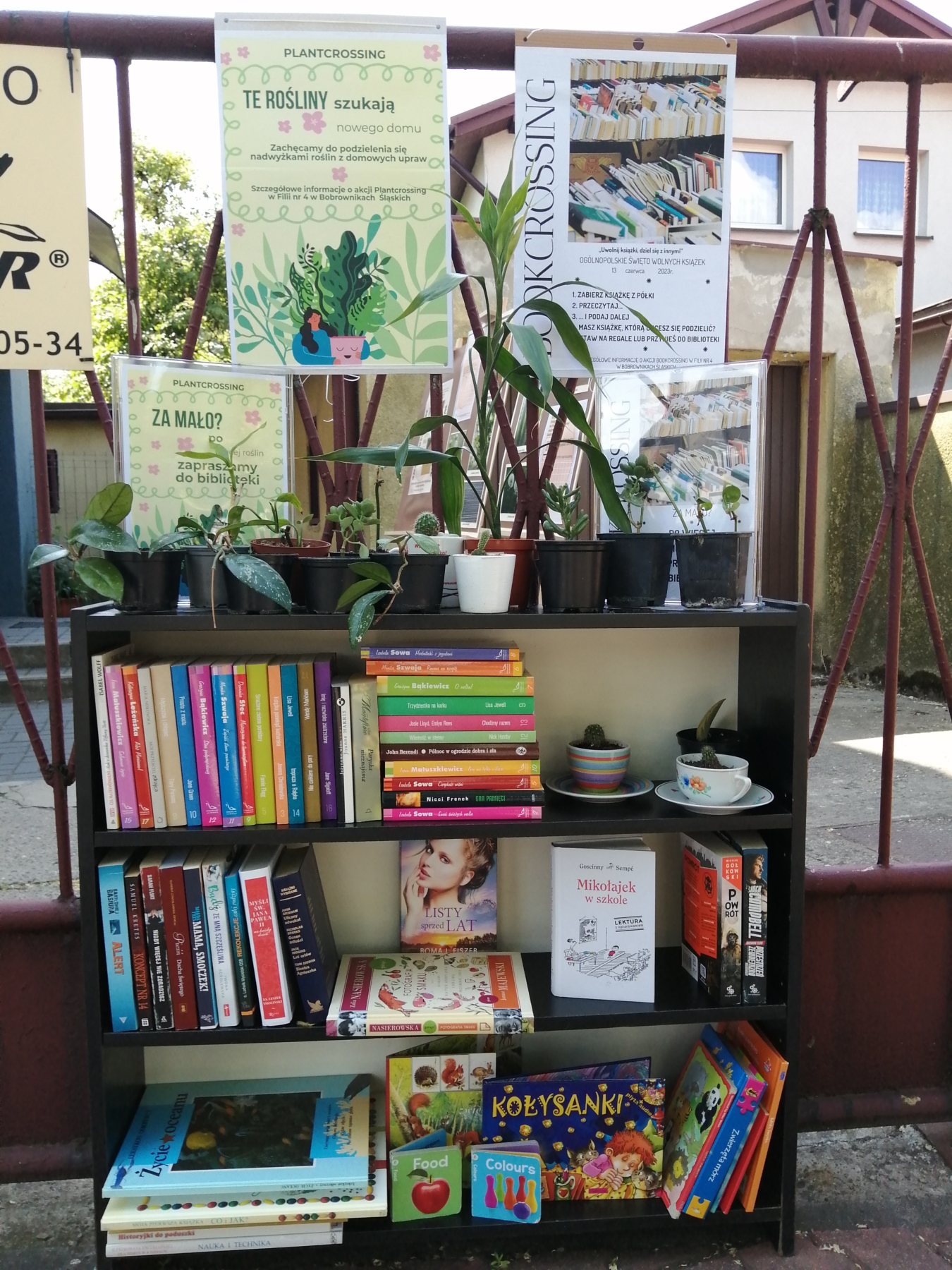 Książki i rośliny przeznaczone na bookcrossing i plantcrossing