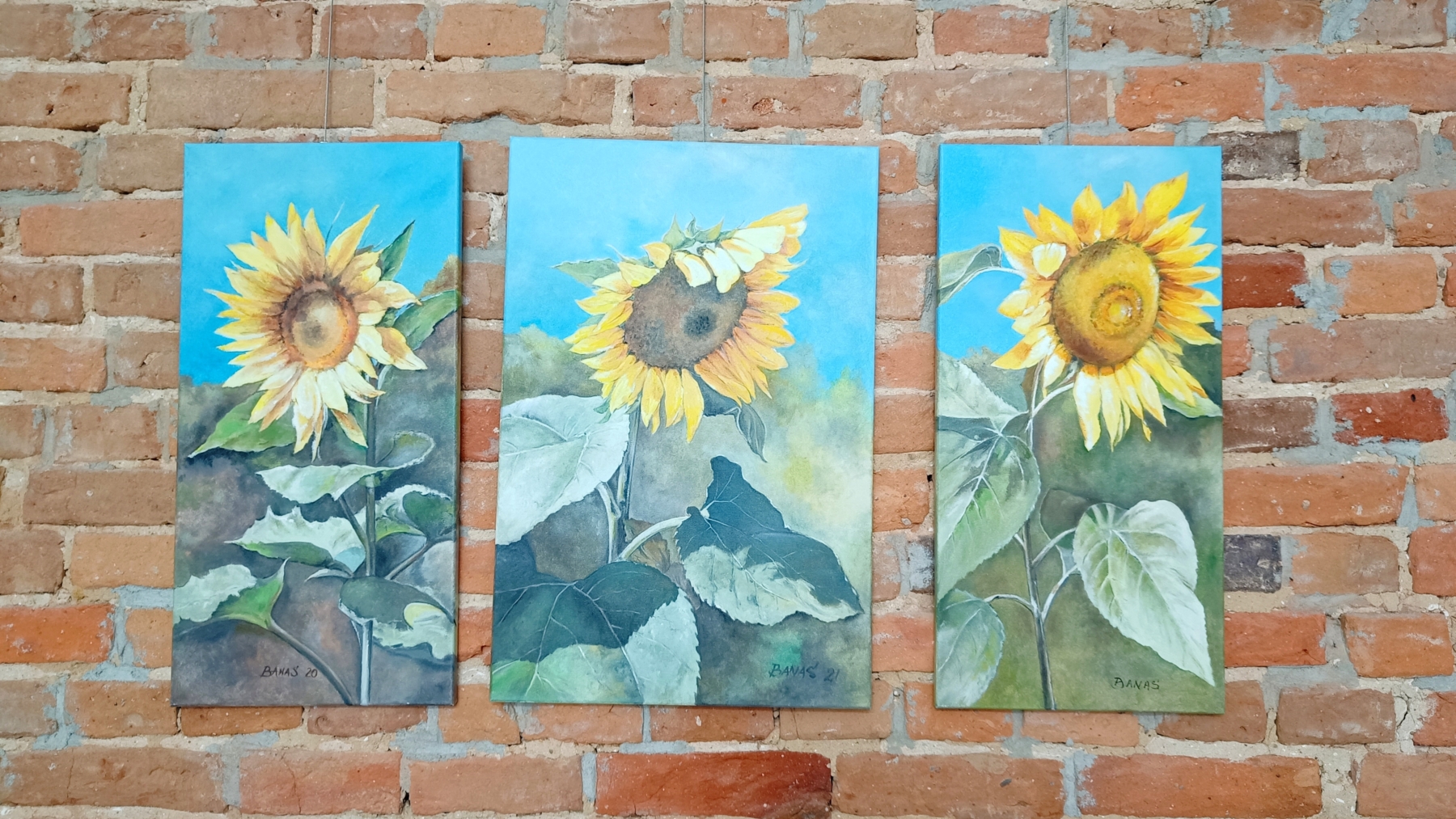 Obrazy przedstawiające słoneczniki wiszące na ceglanej ścianie
