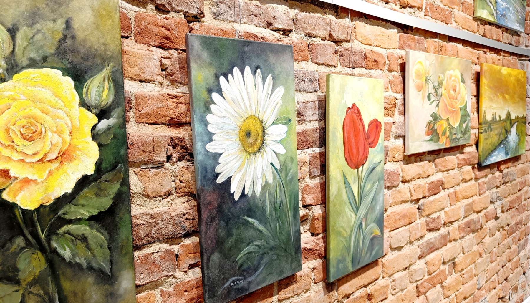 Obrazy przedstawiające kwiaty wiszące na ceglanej ścianie