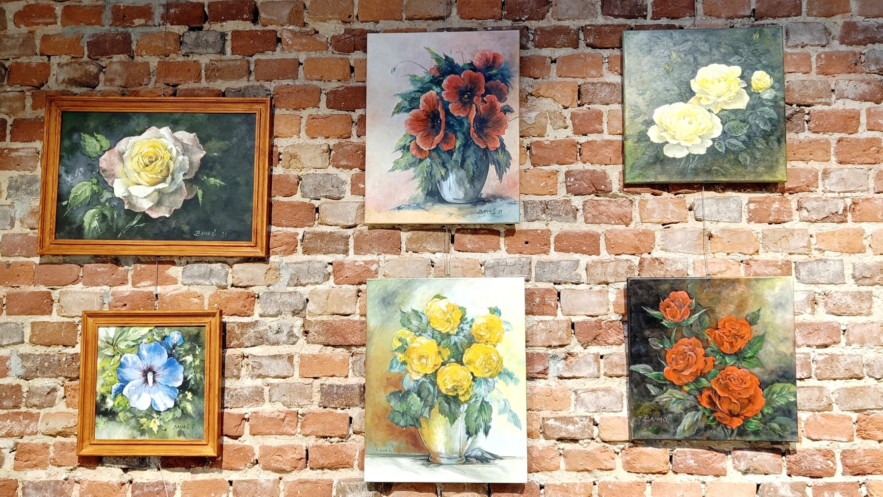 Obrazy przedstawiające kwiaty wiszące na ceglanej ścianie