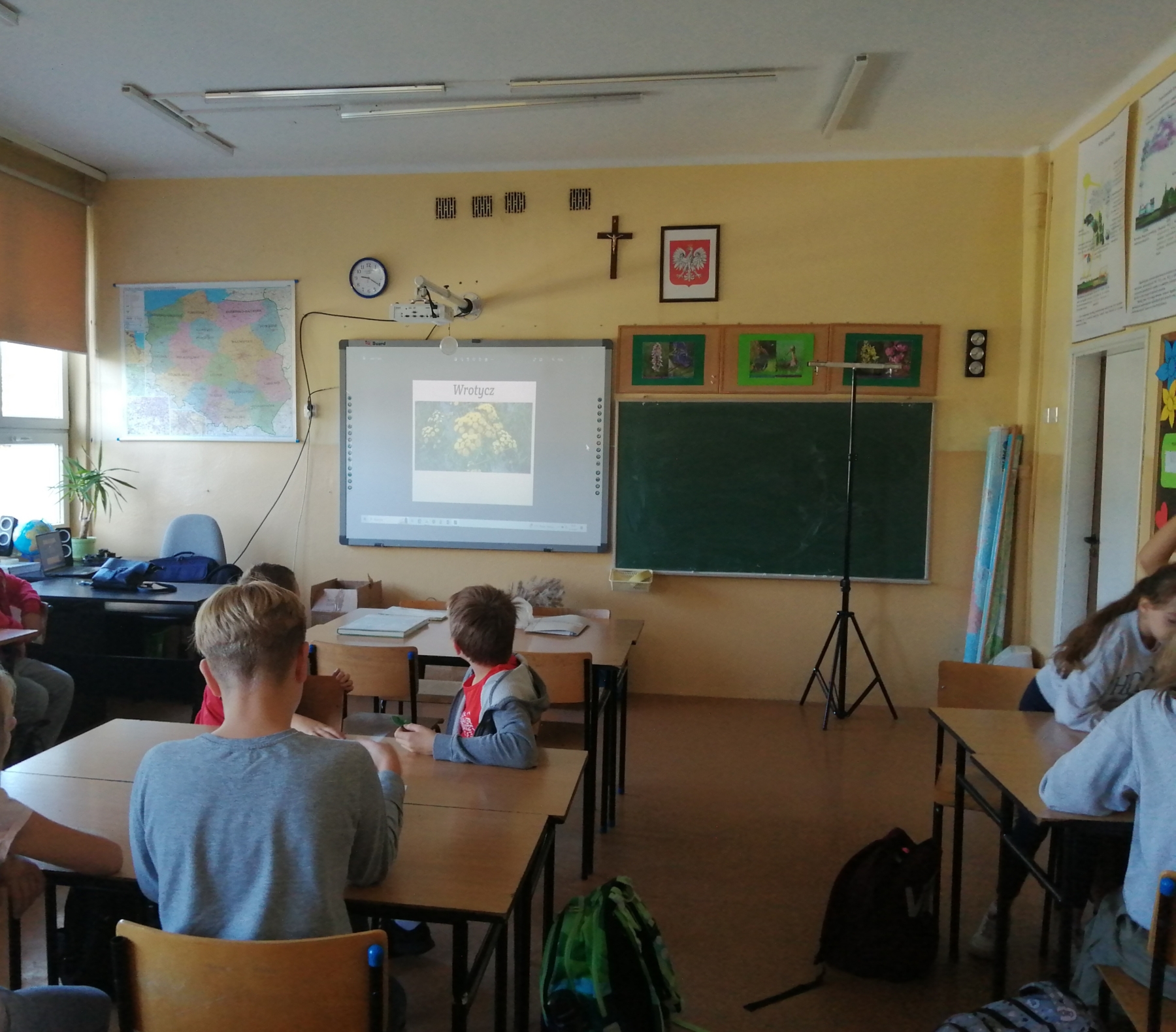Uczniowie w klasie oglądają prezentację dotyczącą roślin